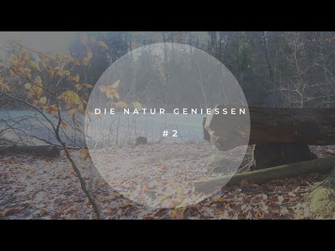 #2 Entspannen am See