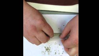 Friends Rolling Joints - a different way to roll - on a table w/ no filter