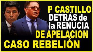 Abogado E. Pachas! Resolución del TC sobre Pedro Castillo - archivo de la apelacion CASO REBELÍON