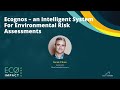 Ecognos An Intelligent System For Environmental Risk Assessments
