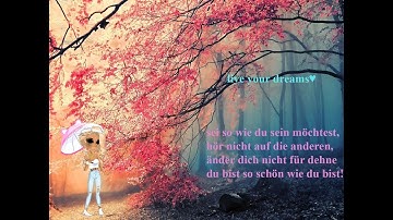 irreplaceable msp version