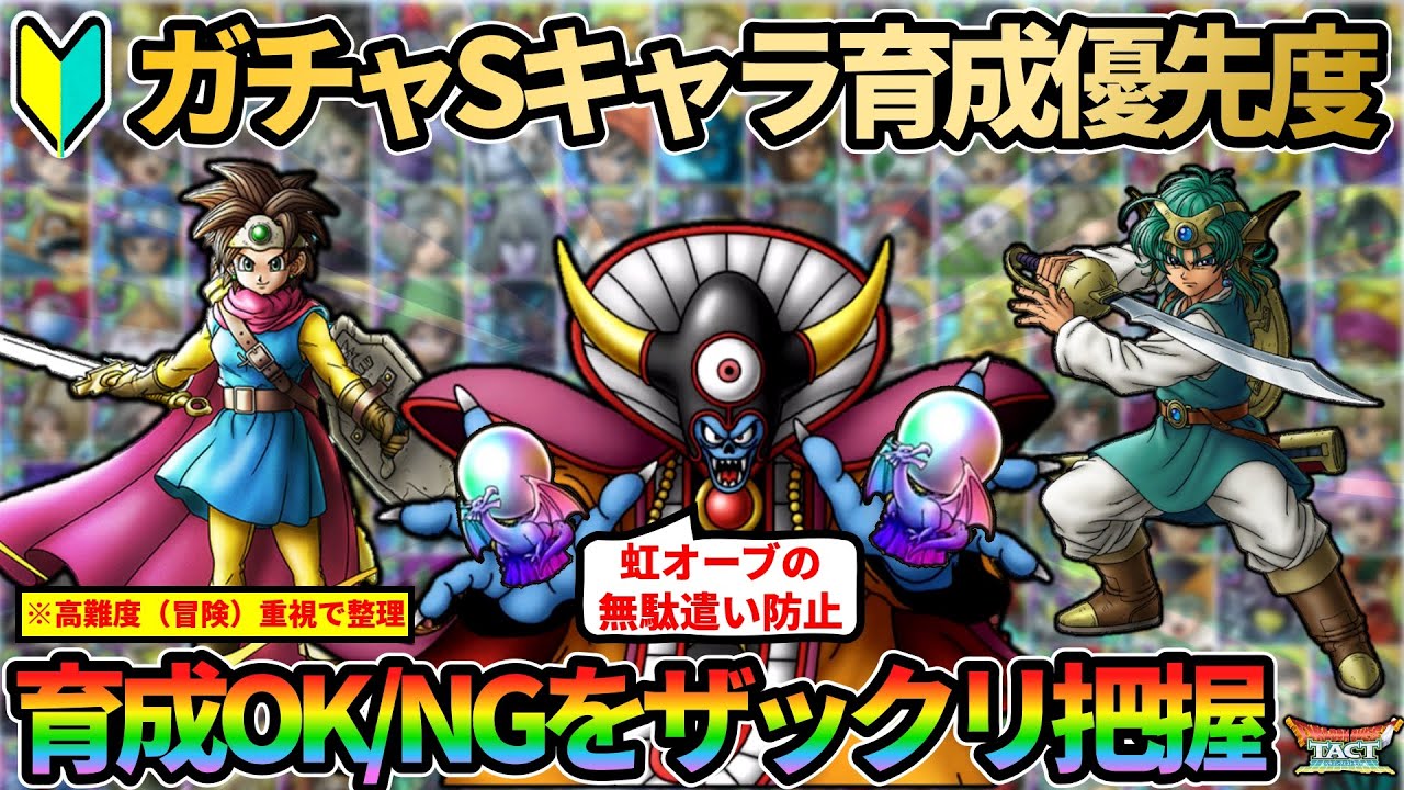 【ドラクエタクト】🔰ガチャで当たったら育てたいSランク育成優先度をザックリ80点くらいで把握する回（貴重な育成素材を無駄にしないため）
