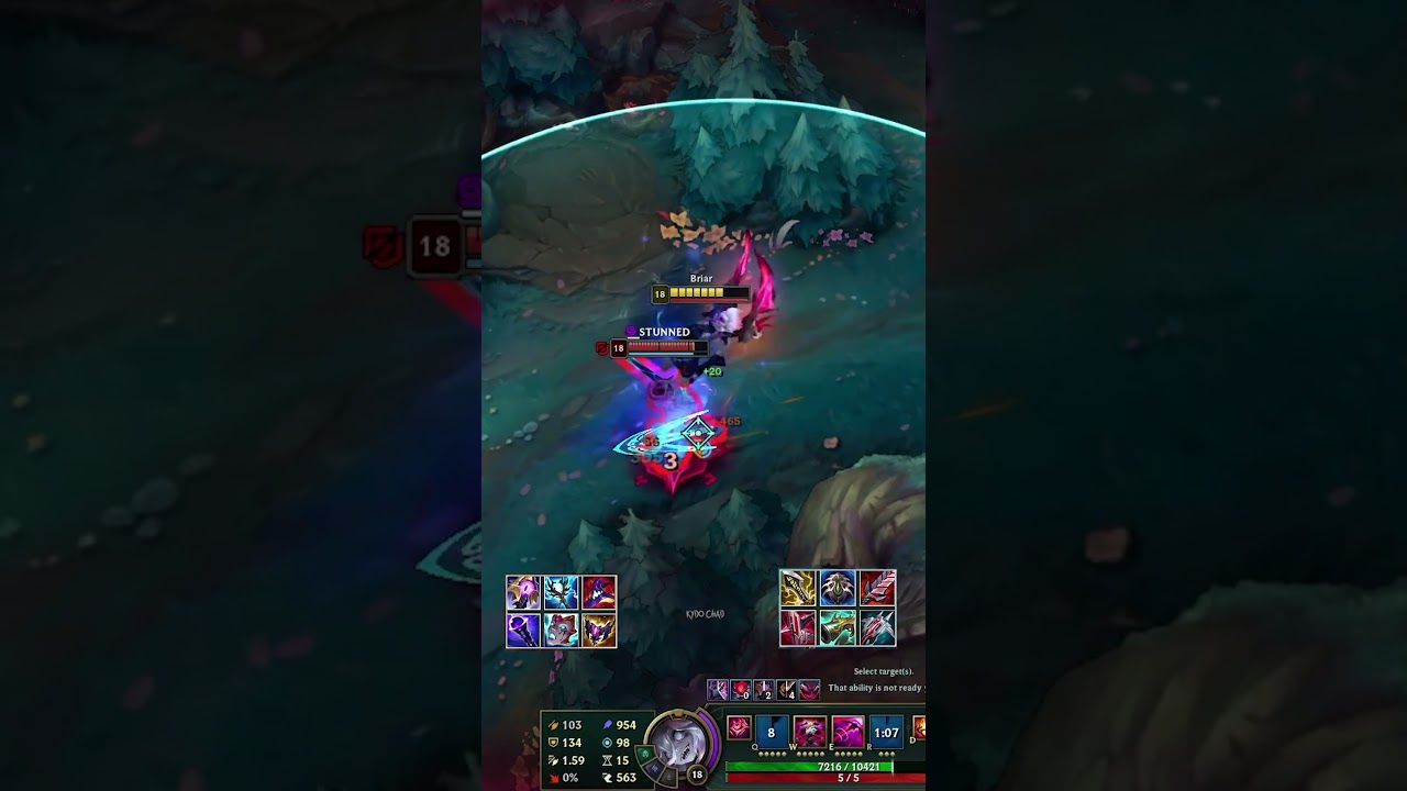 10 K HP AP Briar VS Master Yi Round 1 Test 