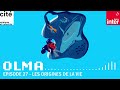 Les origines de la vie  olma s1 p27