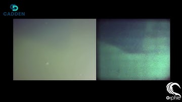 [Ship hull] Orphie camera comparison