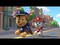 Paw patrol Team Action Story For Kids