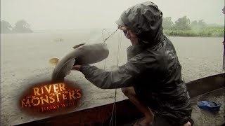 Catching Kamba Catfish Without A Rod | CATFISH | River Monsters