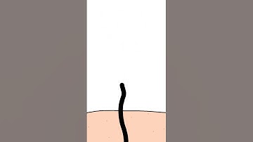 Common Myths People Still Believe Pt  4 #mythsbusted #applecomicsdude #mythsdebunked