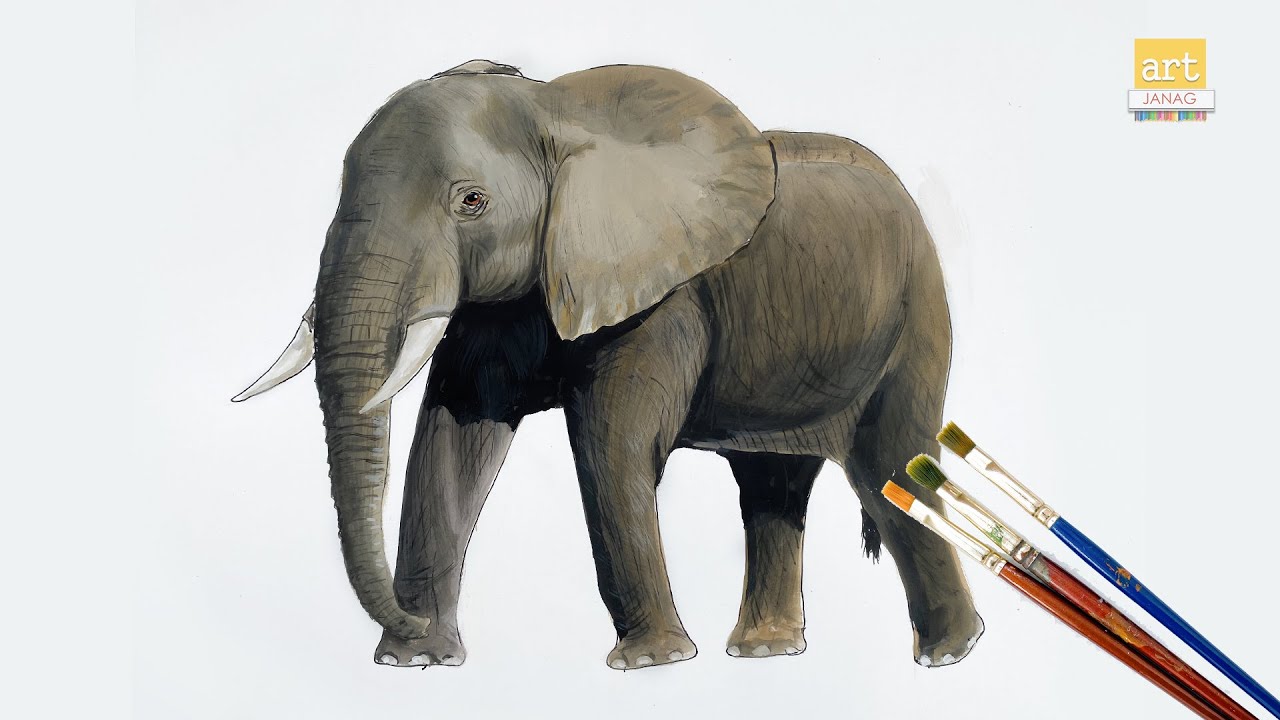 Elephant pencil sketch Painting by Young Artist Gayatri Kannan