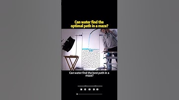 Can water find the optimal path in a maze? #knowledge #shorts