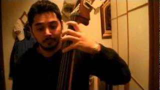 Video thumbnail of "Vinicio Capossella-All'una e 35 circa (Cover contrabbasso)"