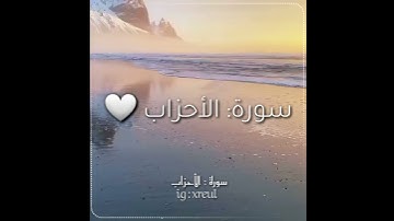 Quran Kareem story 🌸WhatsApp  أجمل قرائه قرآن كريم حالات واتس 🍃 《 سوره الأحزاب  》