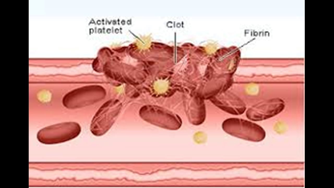 Как увеличить количество тромбоцитов Низкий