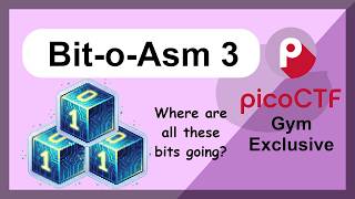 Tracking Variables - Picoctf Gym Cylab - Reversing - Bit-O-Asm-3
