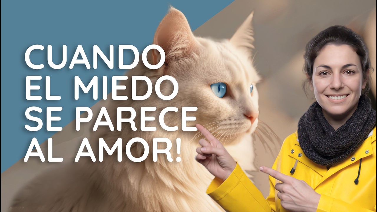 Lo que mi gato me enseñó sobre mis propios miedos | Al-… — Transcript