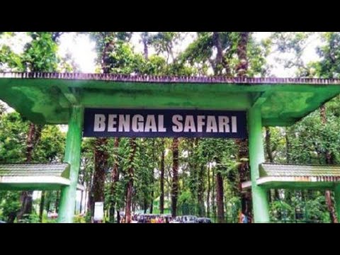 Bengal Safari : North Bengal Wild Animals Safari Park || SILIGURI - YouTube