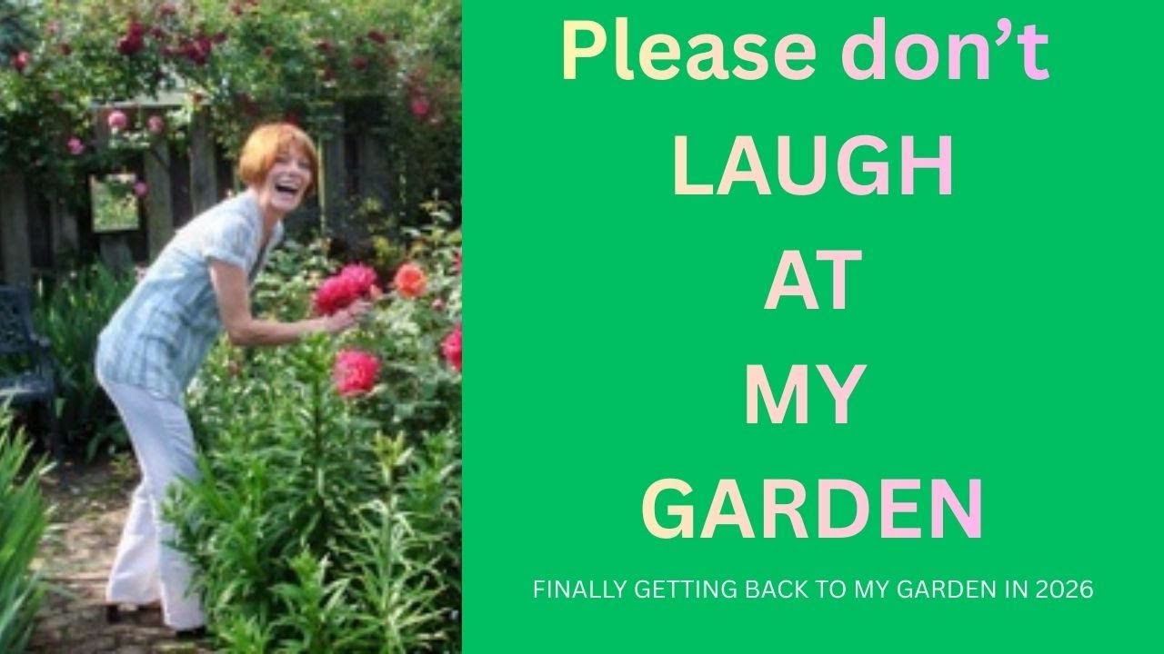 Welcome Back to the Garden Part 1: PLEASE DON'T LAUGH AT MY GARDEN