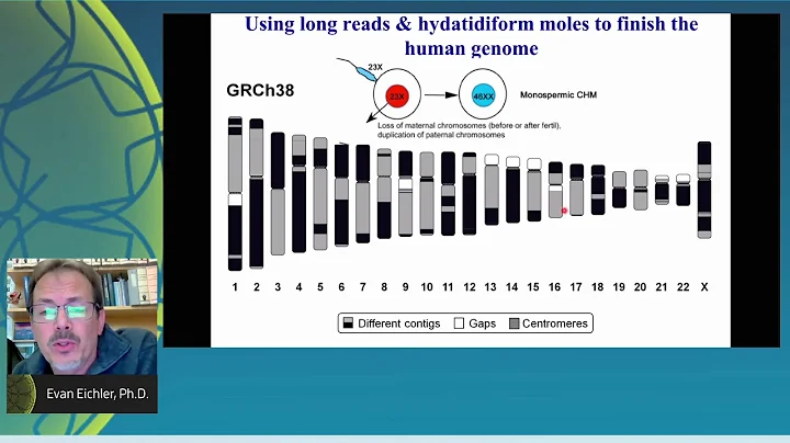 Telomere-to-telo...  sequencing and evolution of c...