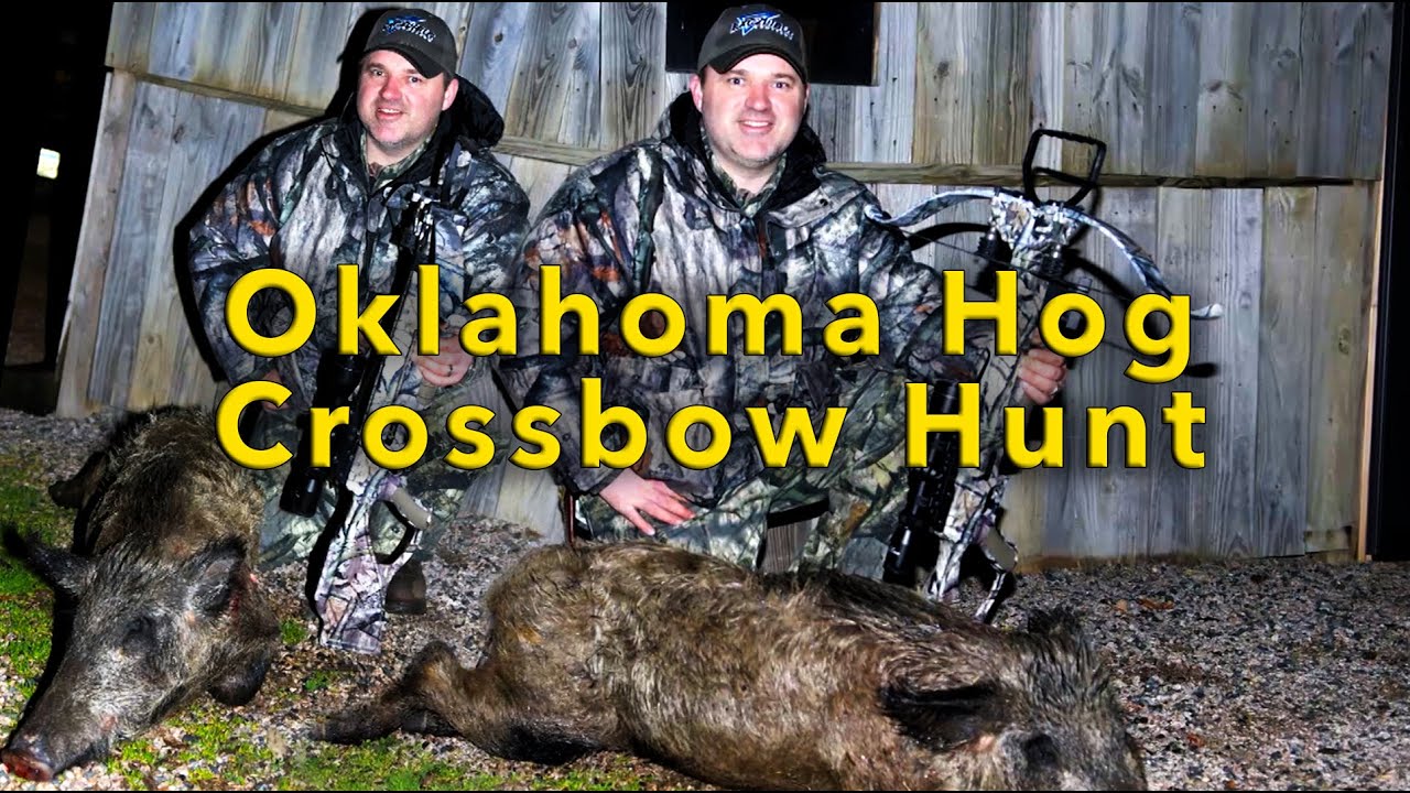 Oklahoma Hog Crossbow Hunt YouTube