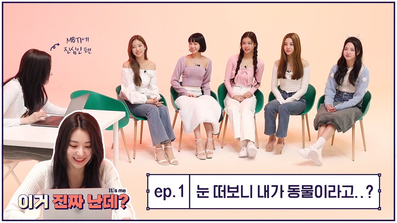 FIMBTI #1 l 눈 떠보니 내가 동물이라고? 🐯🐱🐿