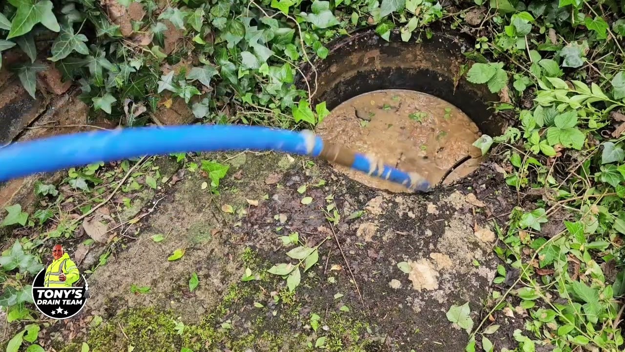 Засорённый сток. Вонючая выгребная яма.