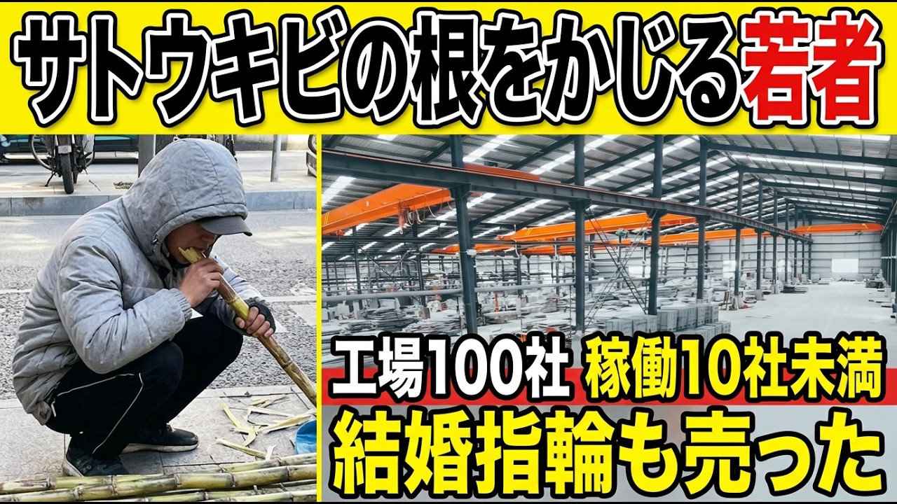 【中国経済】捨てられたサトウキビの根をかじる若者──工場100社中10社未満が稼働、月給2000元の