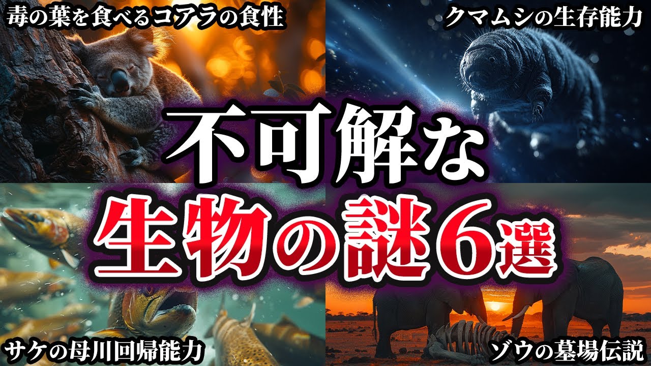 【ゆっくり解説】意外と知らない不可解な生物の謎6選