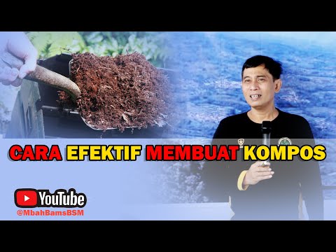 Cara Membuat Pupuk Tai Sapi