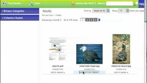OpenEdit open source Digital Asset Management - Collection Basket