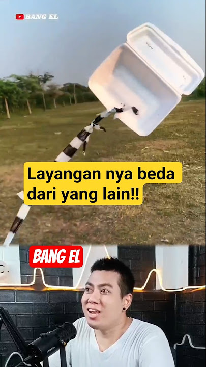 Gen Z kids' kites are different from the others #shorts #reactionvideo #fypvideo #eldanboy