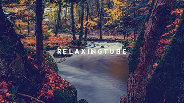 Thumbnail of Japanese traditional relaxing music | Koto, Zen Garden, Instrumental, Spa – Nº 003