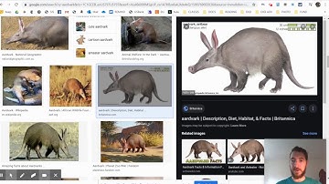 SculptGL Tutorial Video