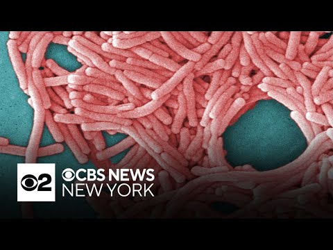 Bronx Legionnaires' disease cluster grows to 19 cases