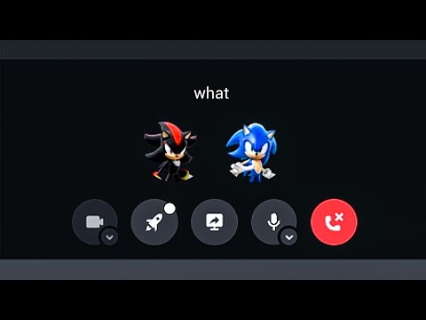 An Average Sonic and Shadow Discord Call