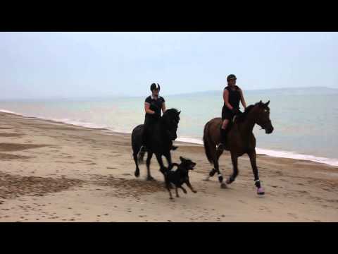 2014.07.19 - Beach Ride (2)