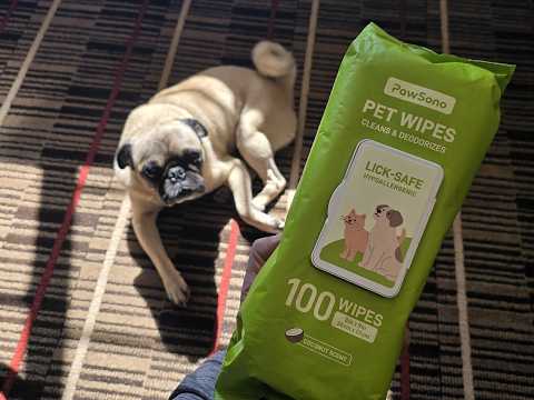 Why I Bring PawSono LickSafe Wipes for My Dog When Traveling