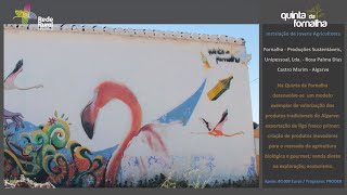 Quinta da Fornalha: um modelo de sustentabilidade da agricultura tradicional do Algarve
