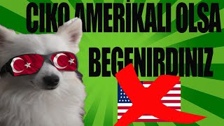 Cıko Amerikalı Olsa Begenirdiniz Dimi