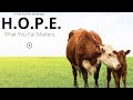 Hope what you eat matters 2018  full documentary subs frpteszhnl