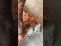 Стол из камня и дерева, который хочется купить