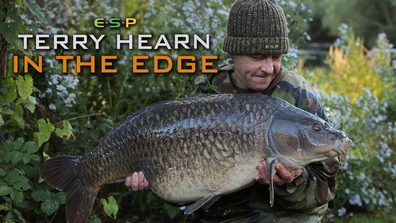 IN THE EDGE, TERRY HEARN