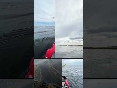 Белое море. Водный