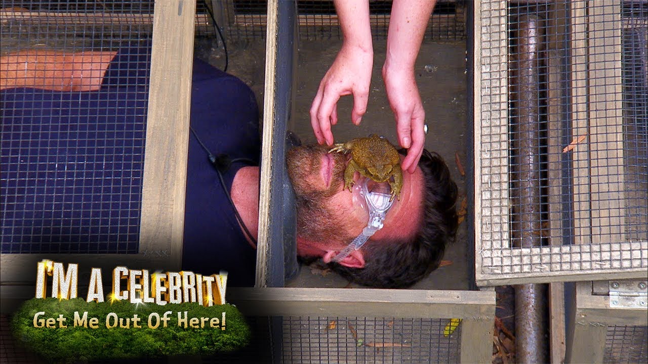 Emily, Harry & Nick Are Put To Work in The Wicked Warehouse | I'm A Celebrity... Get Me Out Of Here!