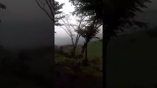 Download Lagu Symphony yang Indah MP3