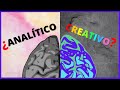  el mito de los hemisferios cerebrales  funciones y diferencias del hemisferio derecho e izquierdo
