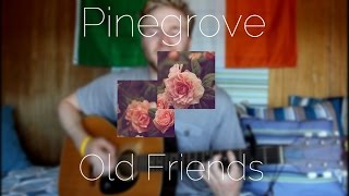 Pinegrove - Old Friends (cover)