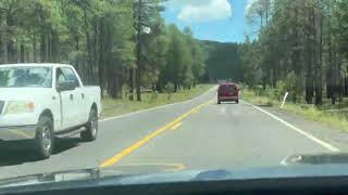 IMG 0961