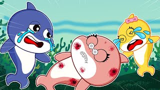 Oh.. No.. Pink Shark, What happened to you..?? Sad story Baby Shark Animation