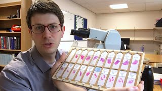 "Medical school's focus on self-directed learning helped me in Histopathology" – Dr Dane Pointing
