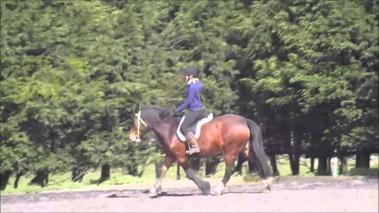 Rising Trot - Small carré